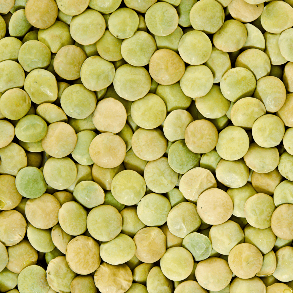 Close up of Grasslands Large Green Lentils.