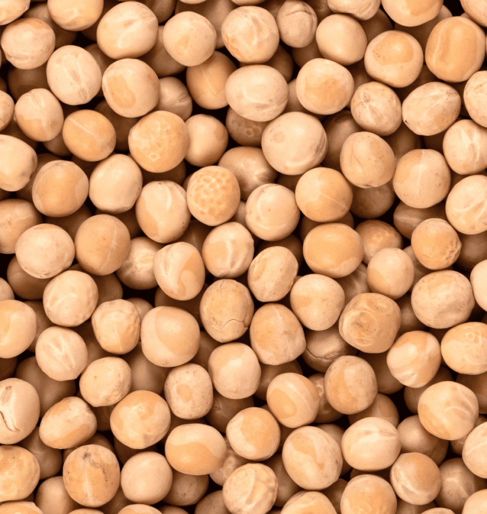 Close up of Grasslands Yellow Peas.