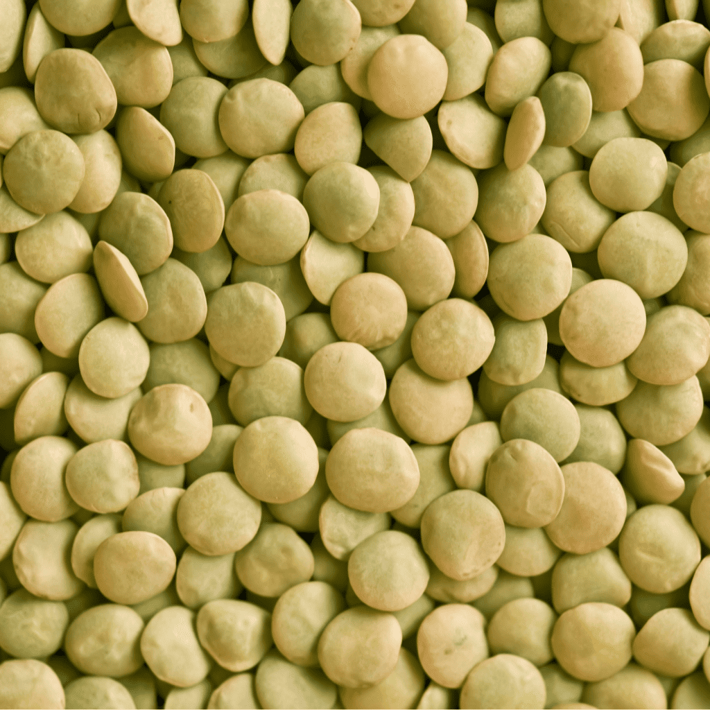 Close up of Grasslands Richlea Lentils