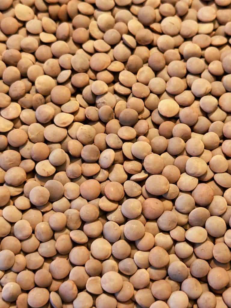 Close up of Grasslands Red Lentils