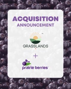 Fresh blueberries for sale, part of Grasslands' fruit crop acquisitions.
