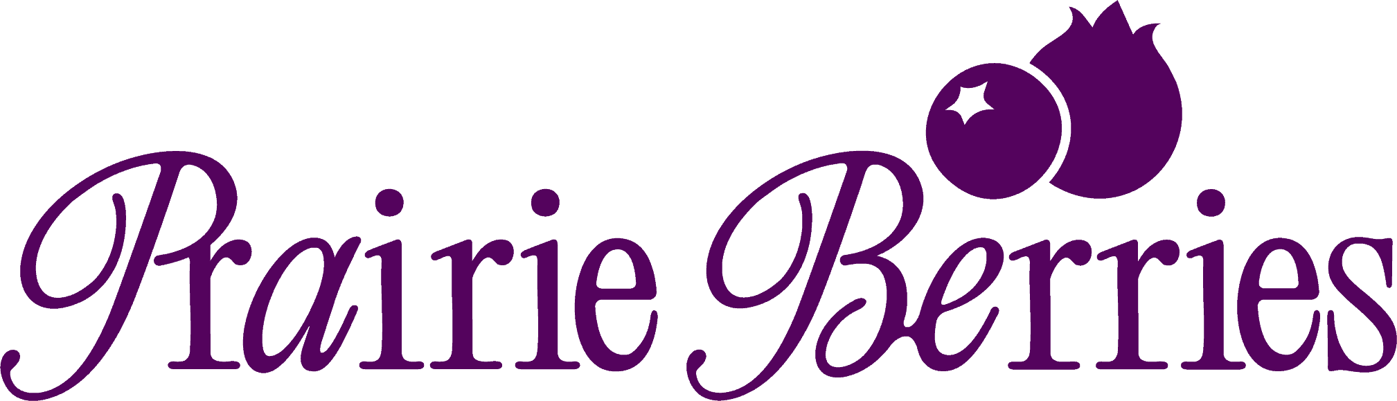 Fresh blueberries with logo text "Prairie Berries" in purple, vibrant, high-quality image.